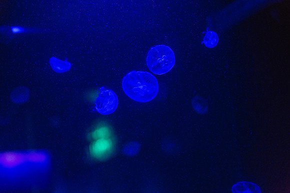20170508_Science_Museum_9C7C5577