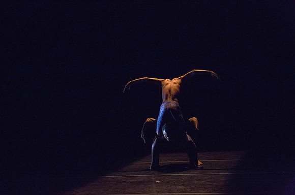 20131220_Ayikodans_Arsht__C7C1346