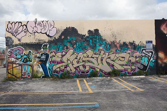 20161108_Wynwood_S5D3208