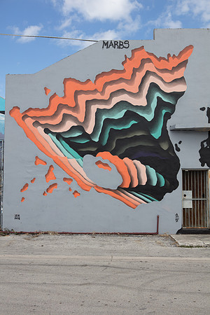 20161108_Wynwood_H5D2954
