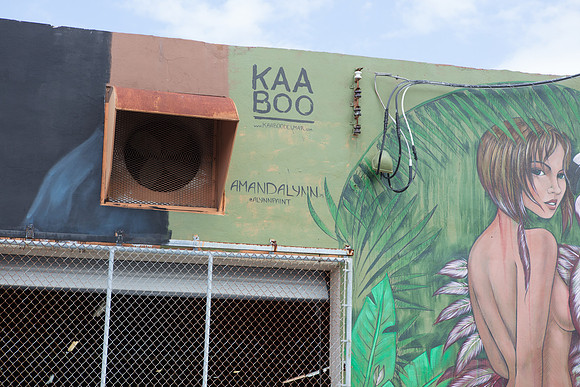20161108_Wynwood_H5D2944