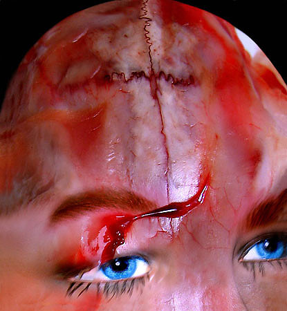 66©Leidmann-TOX169  70x50cm