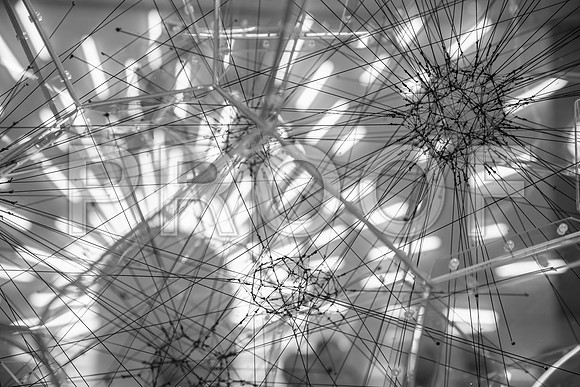20140821_Pamm_CG3P0972