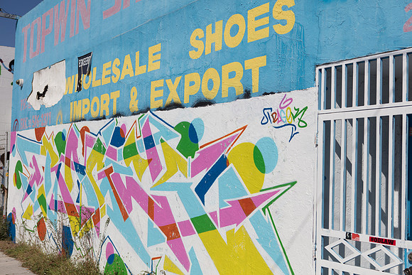 20161108_Wynwood_H5D2667