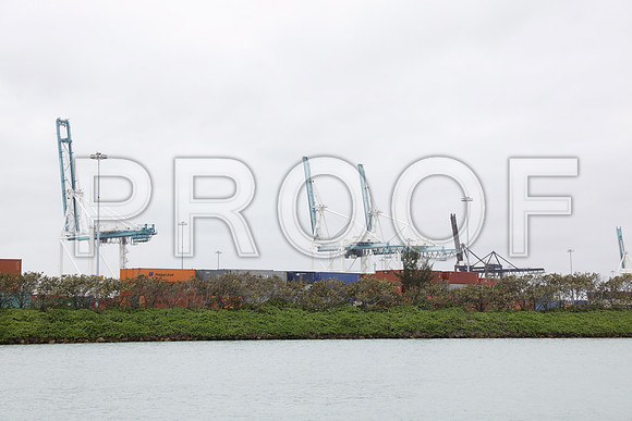 20151220_Miami_Beach_Port__75A2836