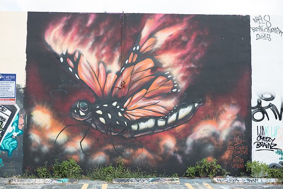 20161108_Wynwood_S5D3207