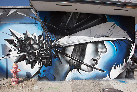 20161108_Wynwood_S5D3003