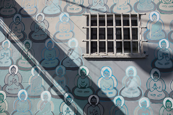 20161108_Wynwood_H5D2715
