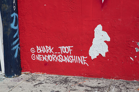 20161108_Wynwood_H5D2763