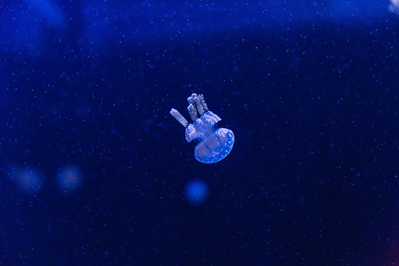 20170508_Science_Museum_9C7C5594