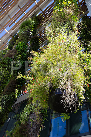 20140801_Pamm_9C7C7888