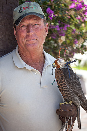 7036_DG_Fisher_Island_Bird_Falcon_Miami_FL_IMG_2182