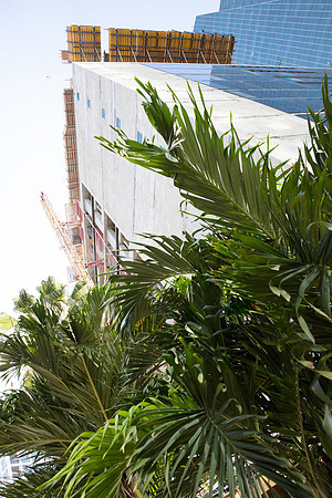 20160115_ECHO_BRICKELL_MORIARTY_S5A0832