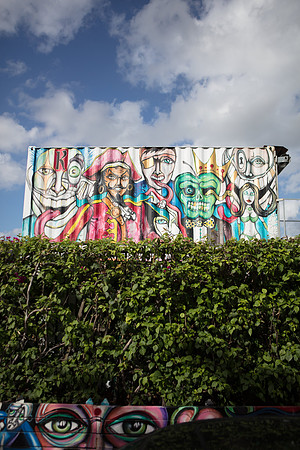 20161108_Wynwood_S5D3225