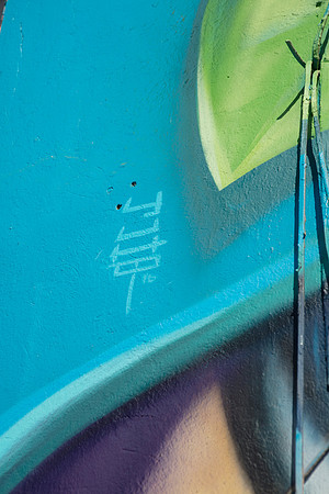 20161108_Wynwood_H5D2711