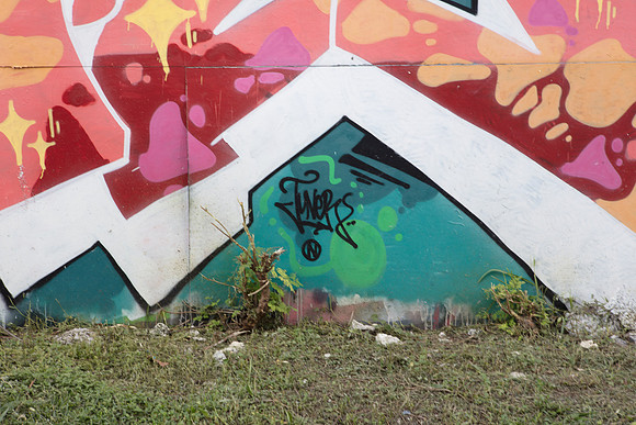 20161108_Wynwood_S5D3026
