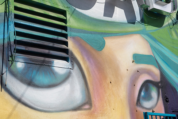 20161108_Wynwood_H5D2710