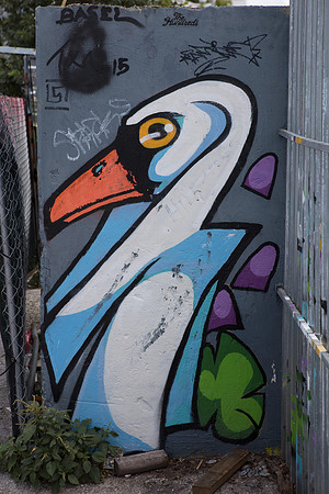 20161108_Wynwood_H5D2960