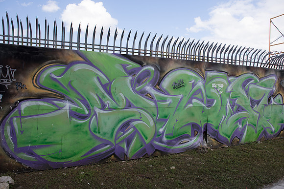 20161108_Wynwood_S5D3023