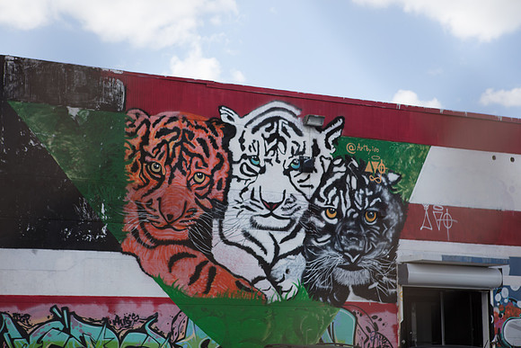 20161108_Wynwood_S5D3116