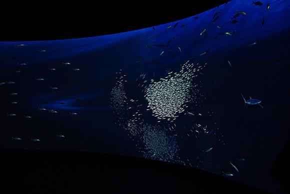 20170508_Science_Museum_9C7C5416