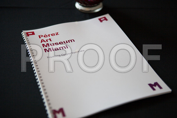 20121011-PAMM_DG_Marqui_Event_Miami_FL_-1283