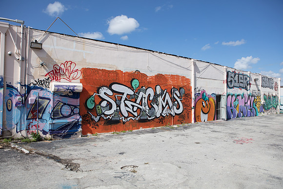 20161108_Wynwood_H5D2888