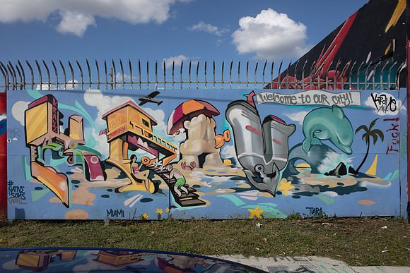 20161108_Wynwood_S5D3015