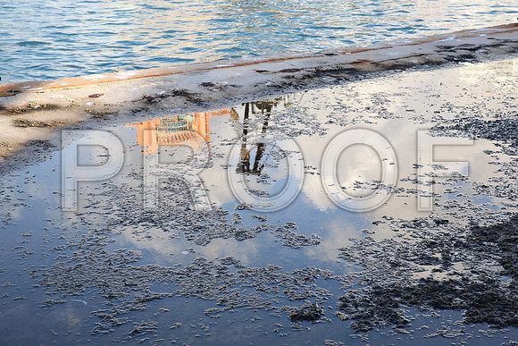 20141204Port_Miami_Dredging_9C7C5215