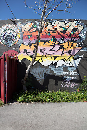 20161108_Wynwood_H5D2683