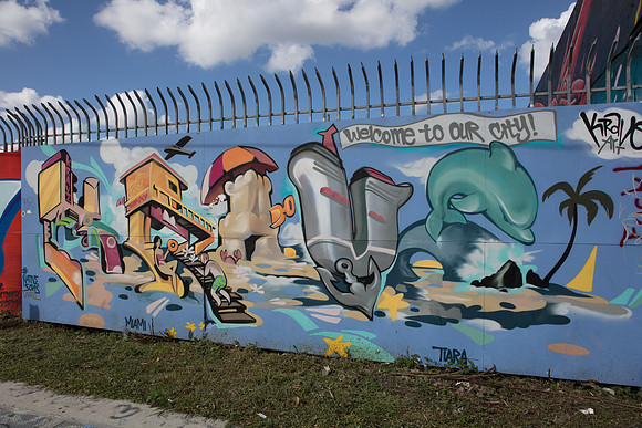 20161108_Wynwood_S5D3017