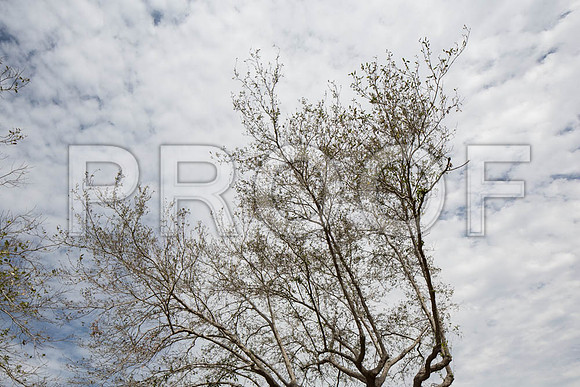 20140228_FIU_Nick_EXB_9C7C1544