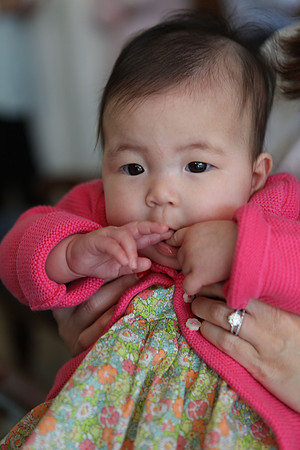 20141123_Rafi_Sharon_IMG_7366