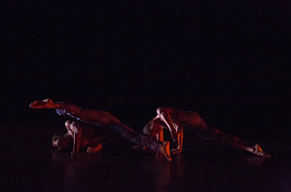 20131220_Ayikodans_Arsht__C7C1455