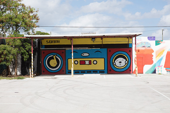 20161108_Wynwood_H5D2927