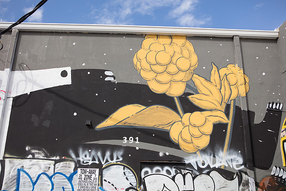 20161108_Wynwood_S5D3111