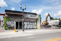20160708_Wynwood_14_Ave_Demo_9C7C0025
