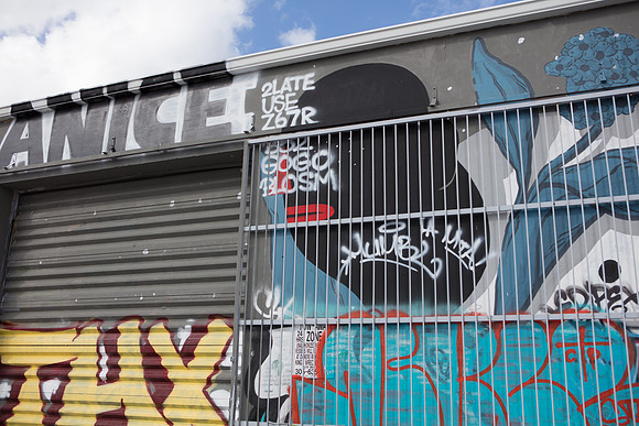 20161108_Wynwood_S5D3112
