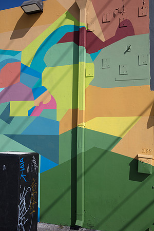 20161108_Wynwood_S5D2947