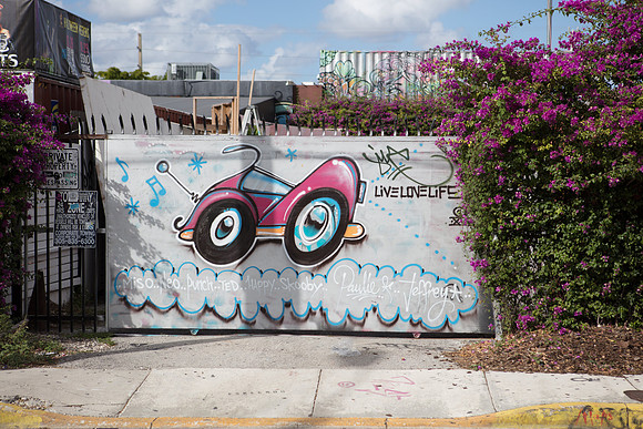 20161108_Wynwood_S5D3217