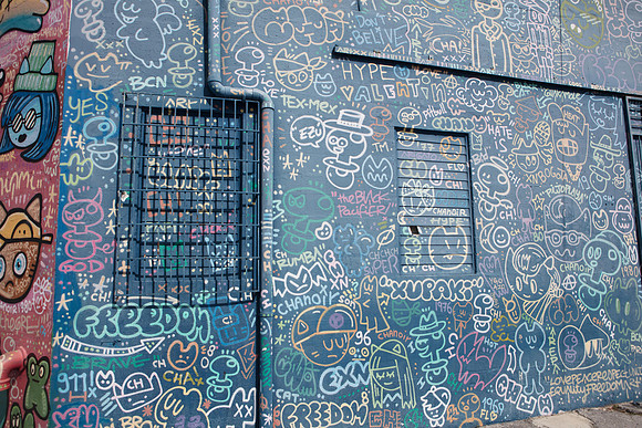 20161108_Wynwood_H5D2801