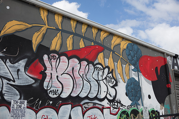 20161108_Wynwood_S5D3115