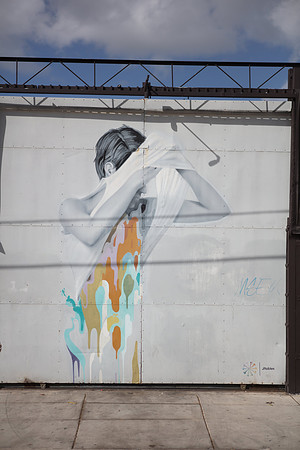 20161108_Wynwood_S5D3227