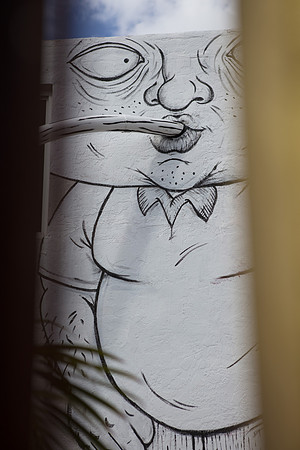 20161108_Wynwood_S5D3066