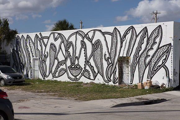 20161108_Wynwood_S5D2948
