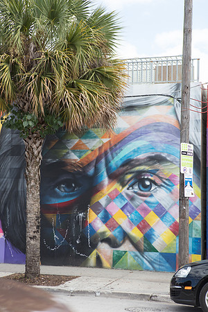 20161108_Wynwood_H5D2971