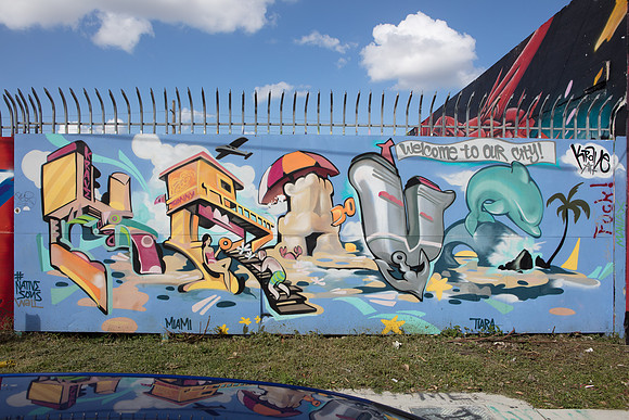 20161108_Wynwood_S5D3014