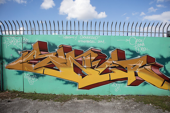 20161108_Wynwood_S5D3041