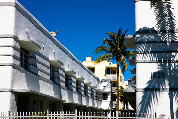 2901_DG_Miami_Beach_Pennsylvania_Ave_FL20090423-5L8Y6357
