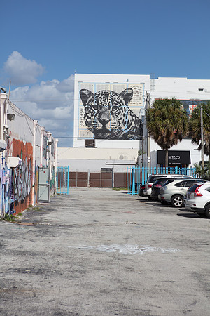 20161108_Wynwood_H5D2881